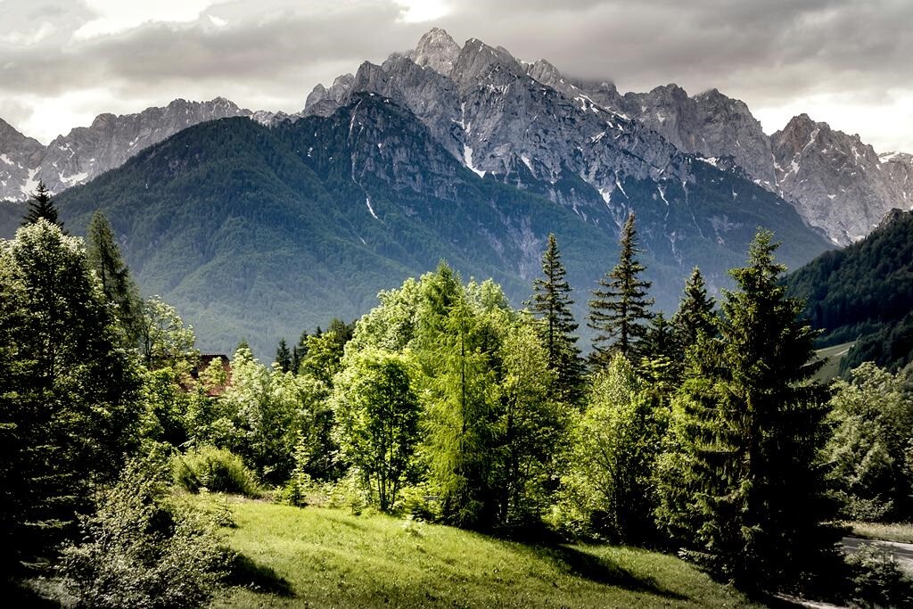 художественная роспись стен